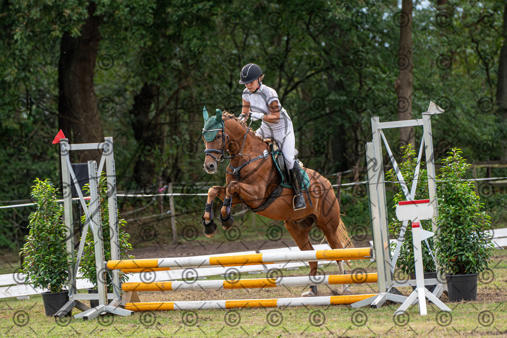 SHT_7540 | andre_photographic