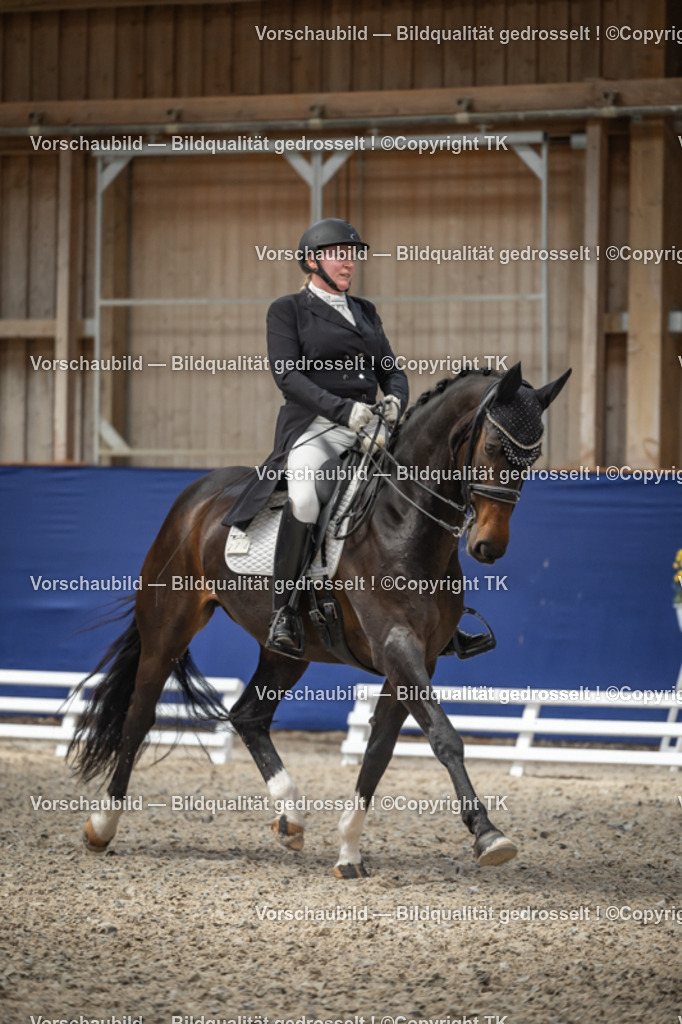 _D5A9600 | Emotionale Pferde- & People-Fotografie rund um Heidelberg, Leimen & Umgebung. Natürliche Fotos von Pferd, Mensch & Familie. Jetzt Termin sichern!