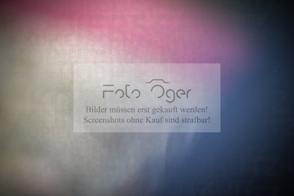 DOS_0655 | Entdecke hochwertige Reitturnierfotos von Foto Oger. Professionell, emotional und authentisch – jetzt Lieblingsmomente im Shop bestellen.Deutschlandweite Turnierfotografie. - Realisiert mit Pictrs.com