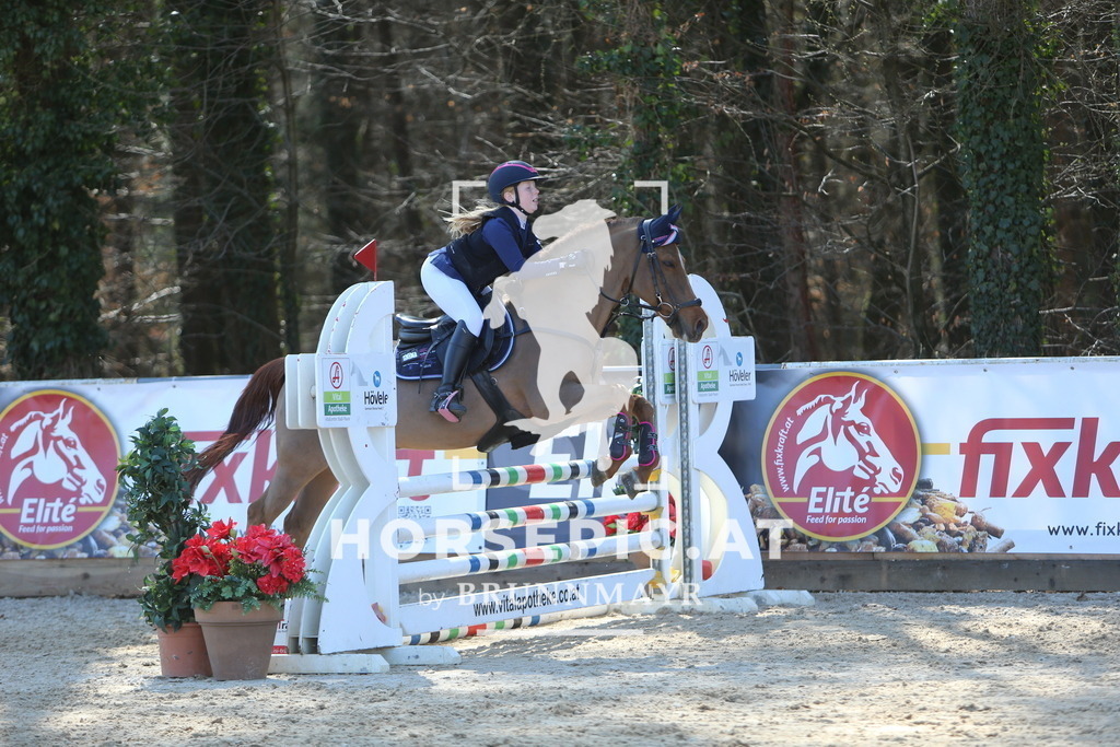 DL2Q2854 | Willkommen bei Brunnmayr - Design & Fotografie – Ihrem Spezialisten für Reitturniere und Pferdeveranstaltungen in Oberösterreich, Salzburg und Bayern! Seit über 17 Jahren sind wir leidenschaftlich dabei.