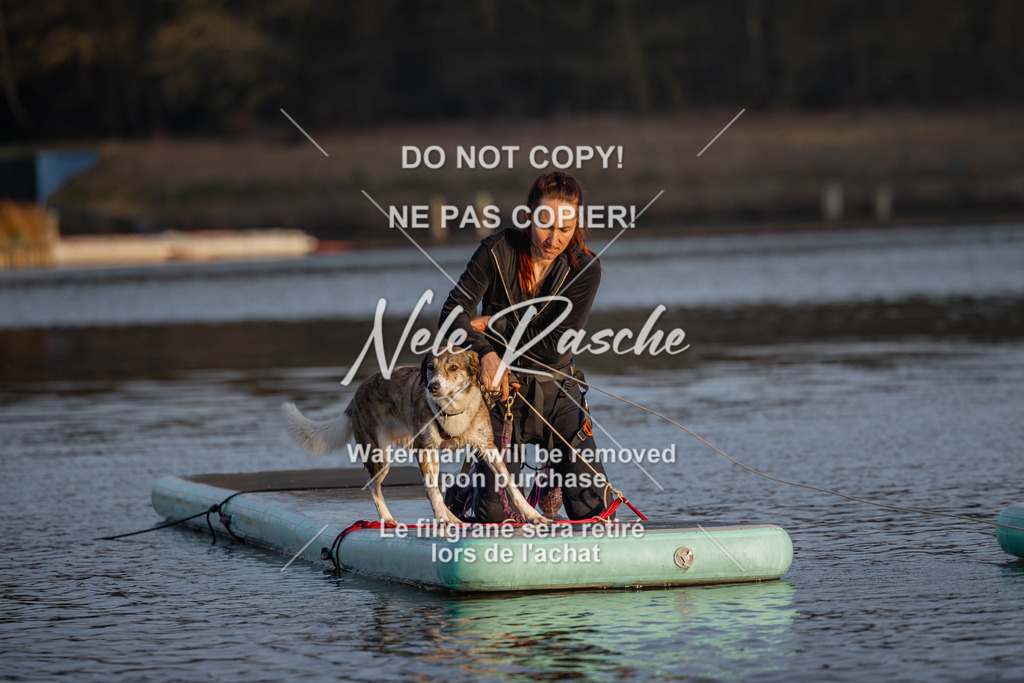 nelerasche_Hulsbeek_Sa1730-Ende_116 | nelerasche