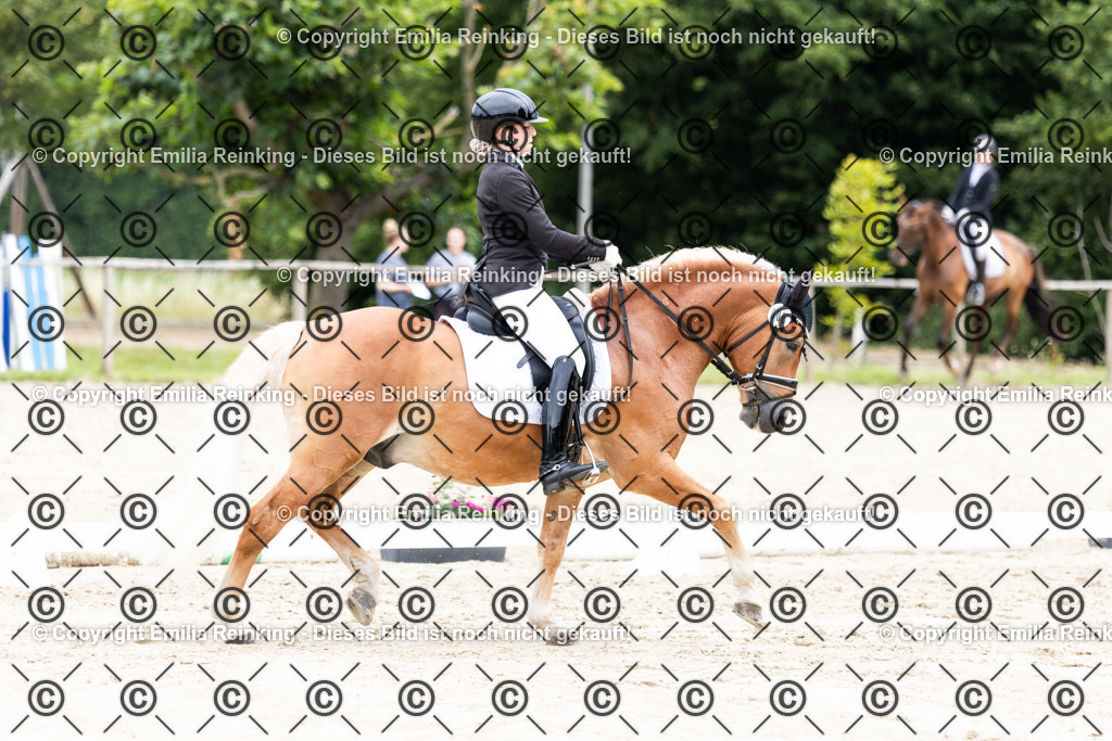 CL5A3065 | Emilia Reinking Fotografie - Realisiert mit Pictrs.com