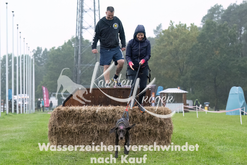 0954-_ZZ94904-Bearbeitet | kk-dogfotos