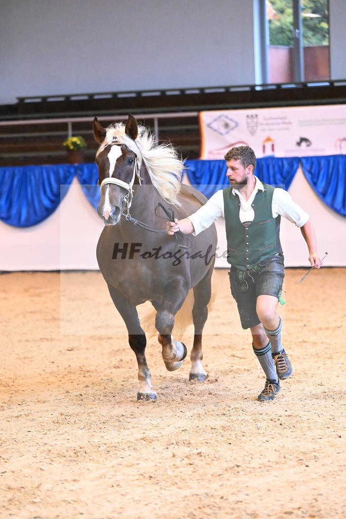 Kat-Nr. 48 Ute_Mayr_53220051 | hf-fotografie - Realisiert mit Pictrs.com