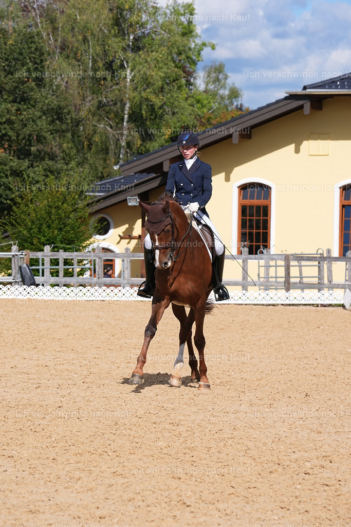 09_2-114-DRESSUR  S_  -Marixx-5985 | working equitationturnier fotograf videograf stoibphotography marixx film working equitation deutschland reitsport turnierfotografie eventfotografie equestrian events