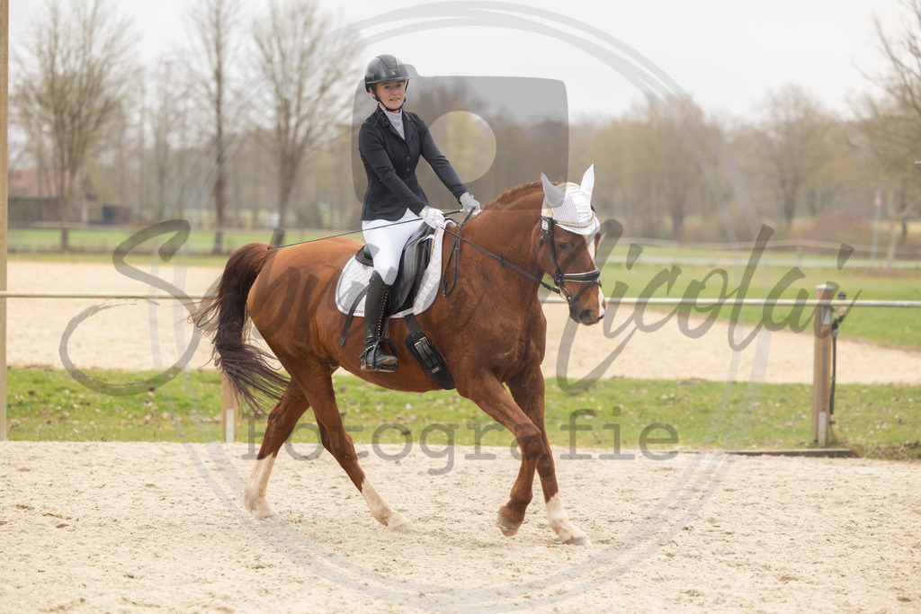 994A8580 | sabrinanicolaifotografie - Realisiert mit Pictrs.com