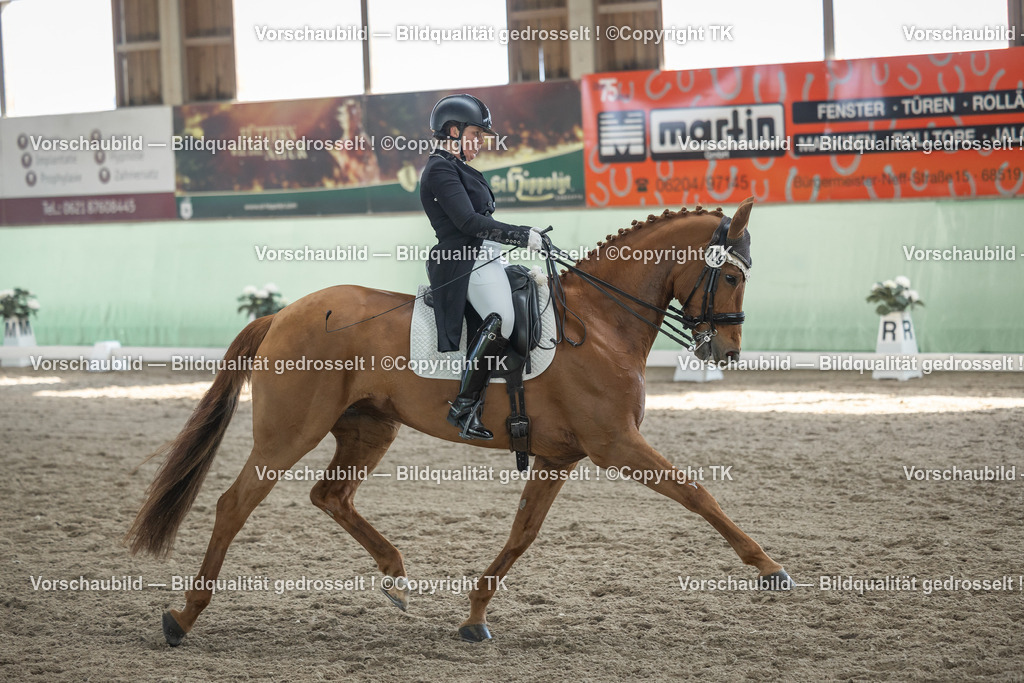 _D5A0108 | Emotionale Pferde- & People-Fotografie rund um Heidelberg, Leimen & Umgebung. Natürliche Fotos von Pferd, Mensch & Familie. Jetzt Termin sichern!