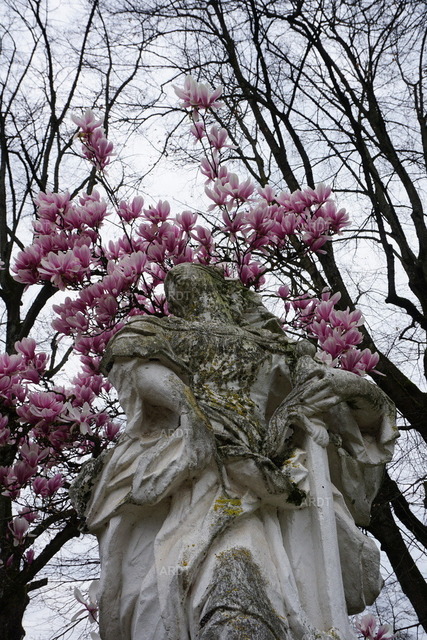 Momente 8 | Palastgarten Trier