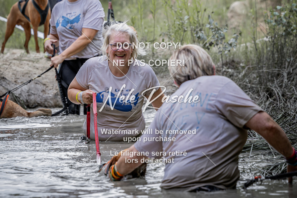 nelerasche_so1145-1230_301 | nelerasche