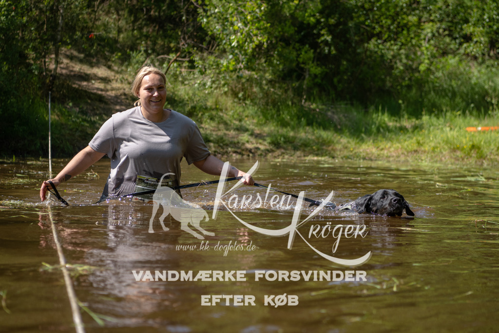 1511DKK992476 | kk-dogfotos