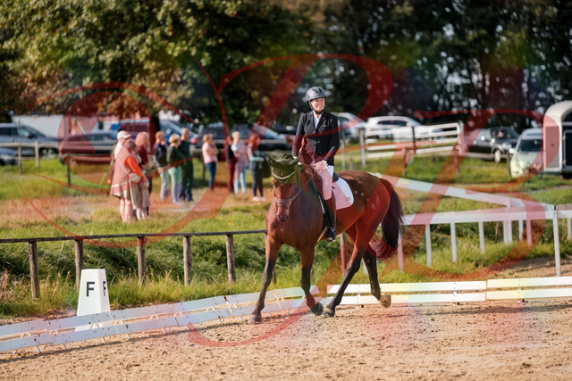 2026_10_03_Siefer-Hof_122707_Z63_48047060 | Professionelle Reitsport-, Turnier- und Eventfotografie von Robert Broda. Galerien mit ausgewählten und bearbeiteten Bildern direkt online ansehen und bestellen.