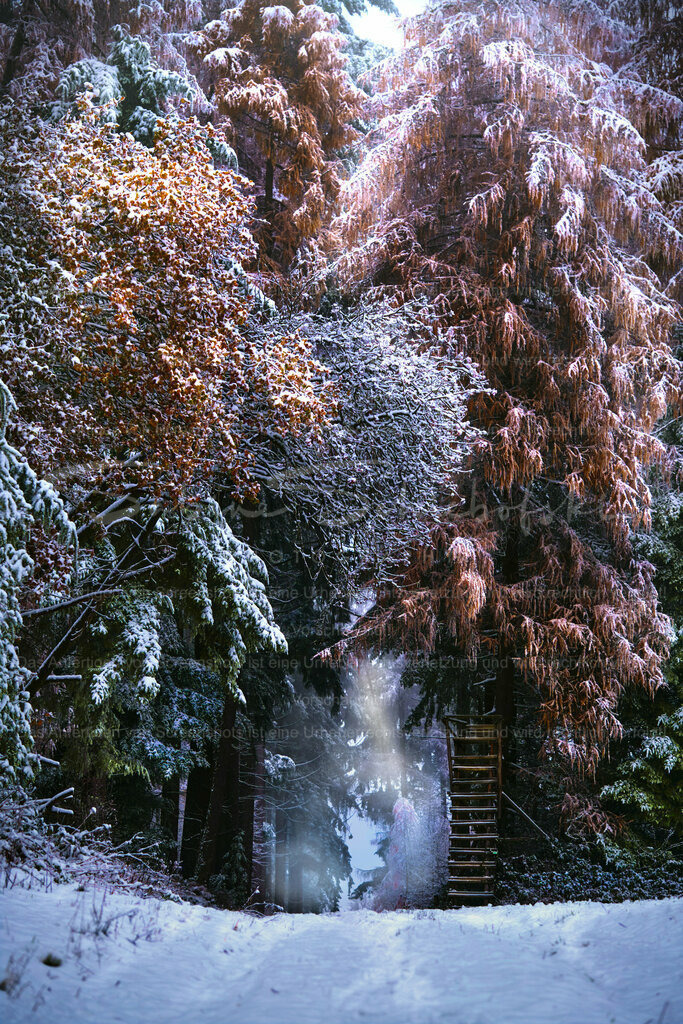 Wandbild "Der erste Schnee mit Hochsitz #02" | People- und Tierfotografie, Imageaufnahmen, Veranstaltungsfotografie und Wandbilder aus der Natur ★ Made in Germany ✔️ Druck + Downloads ✔️ Naturfotografie in Top Qualität ★ schneller Versand, weltweite Lieferung! - Realisiert mit Pictrs.com