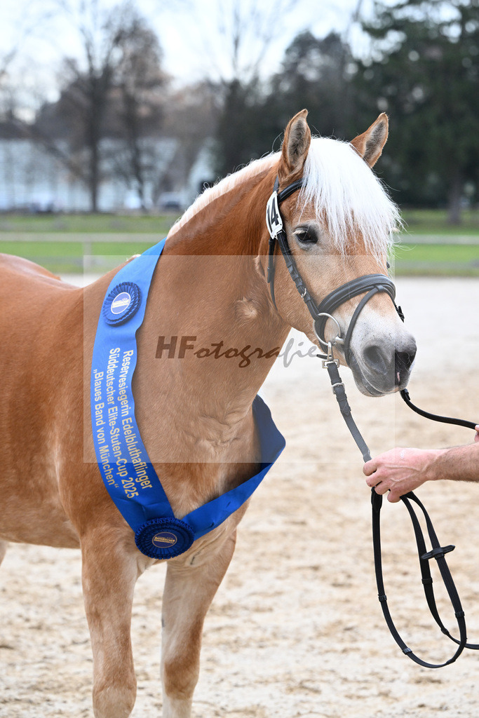 Bl. Band Kat-Nr. 14 Kleopatra v. Aquagon_Lang_48251642 | hf-fotografie - Realisiert mit Pictrs.com