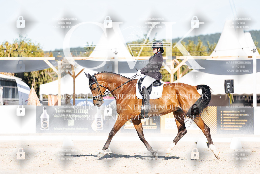 CK907662 | Turnierfotografie Pferdefotografie Trier Rheinland-Pfalz Pferdesport Reitsport Tierfotografie Sportfotografie Pferdevideo Pferdevideografie Equestrianvideography equestrianphotography  - Realisiert mit Pictrs.com