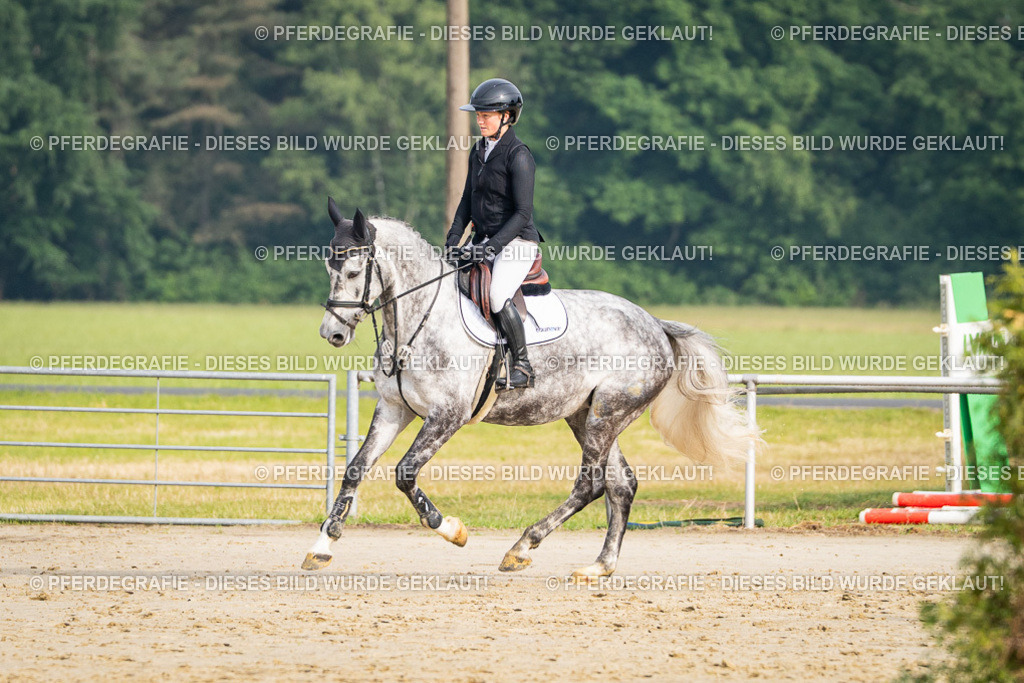 DSC08312 | Pferdegrafie