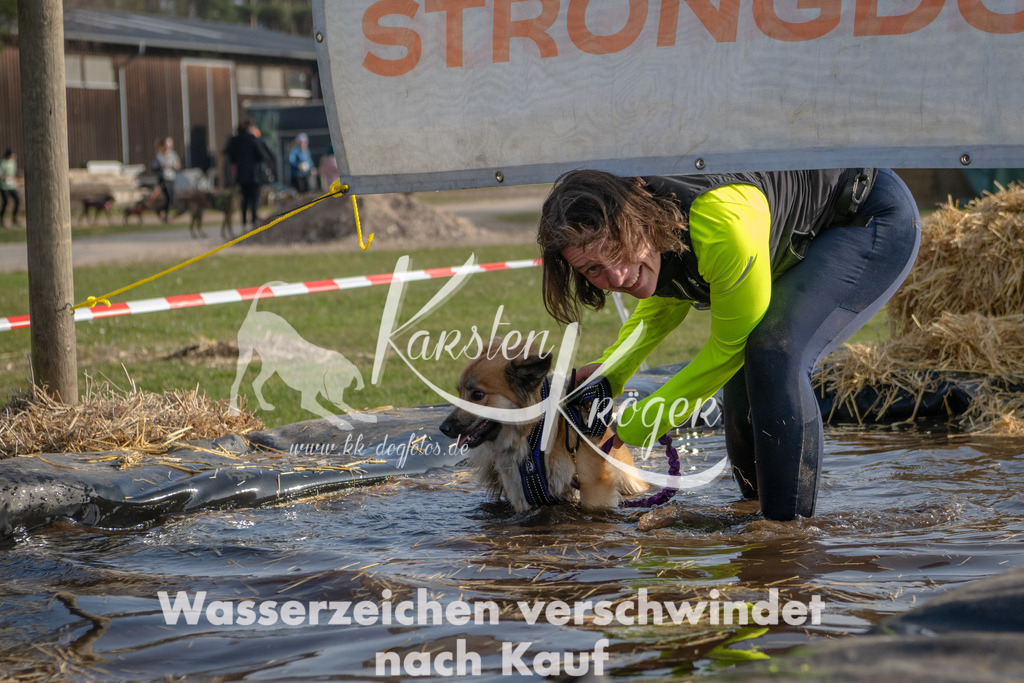 _ZZ93304 | kk-dogfotos