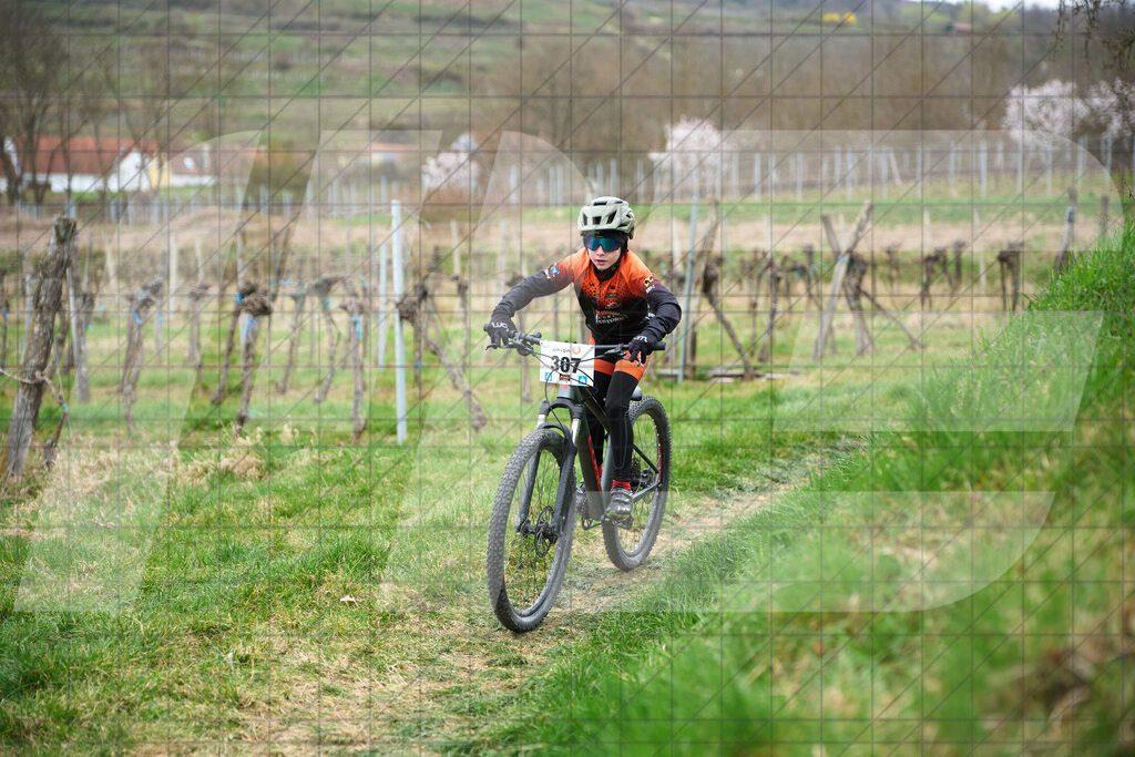 34. KTM Kamptal Trophy  | ZÖBING, Österreich – 2026-03-28: 34. KTM Kamptal TrophyFoto: © 2026 Martin Bihounek - MB Creative e.U.
