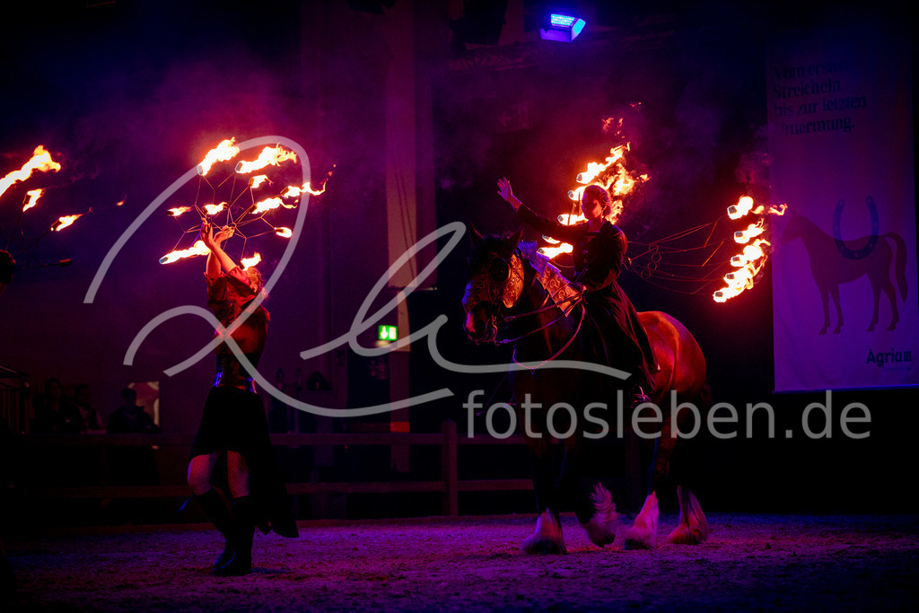 846A0953 | fotosleben - Realisiert mit Pictrs.com
