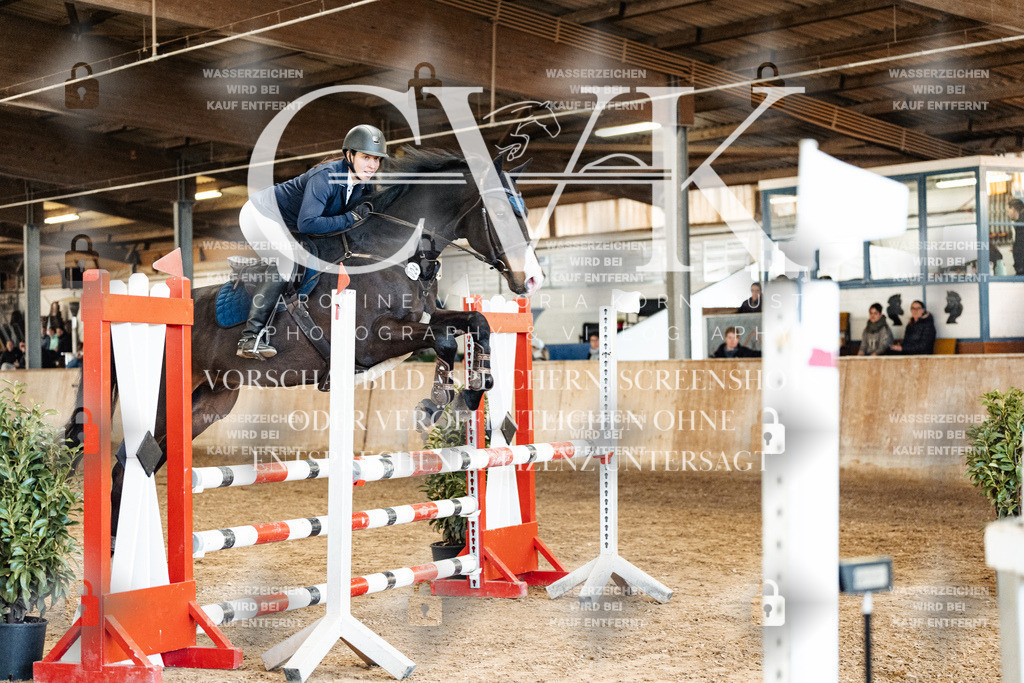CK905107 | Turnierfotografie Pferdefotografie Trier Rheinland-Pfalz Pferdesport Reitsport Tierfotografie Sportfotografie Pferdevideo Pferdevideografie Equestrianvideography equestrianphotography  - Realized with Pictrs.com