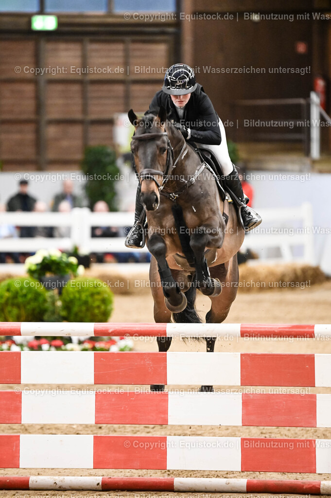 20260307_Hengstvorstellung-Marbach_0133 | equistock