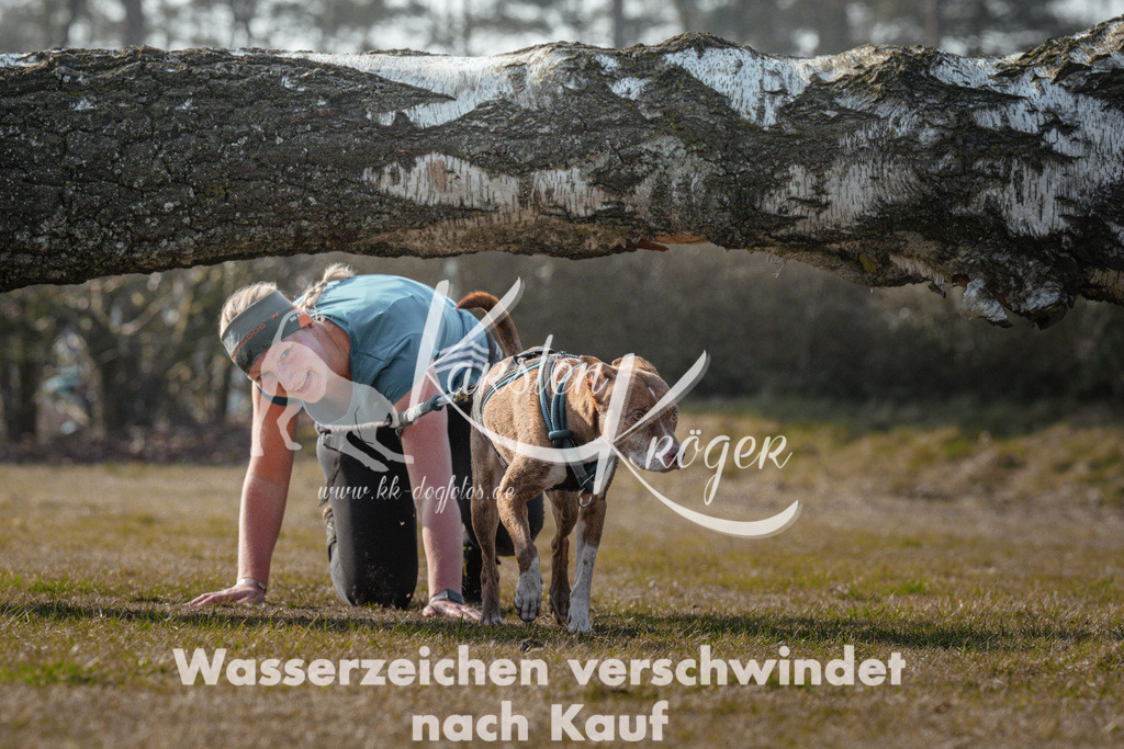 1010_ZZ91642 | kk-dogfotos
