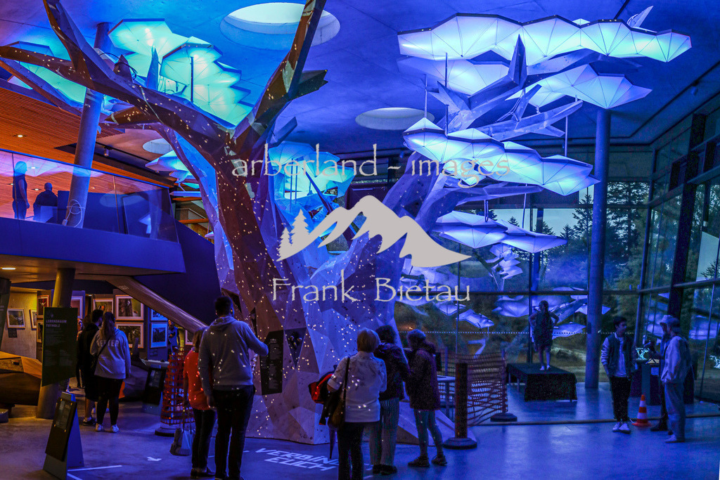 OE7A2726-Pano | Lichtinstallationen im Haus zur Wildnis