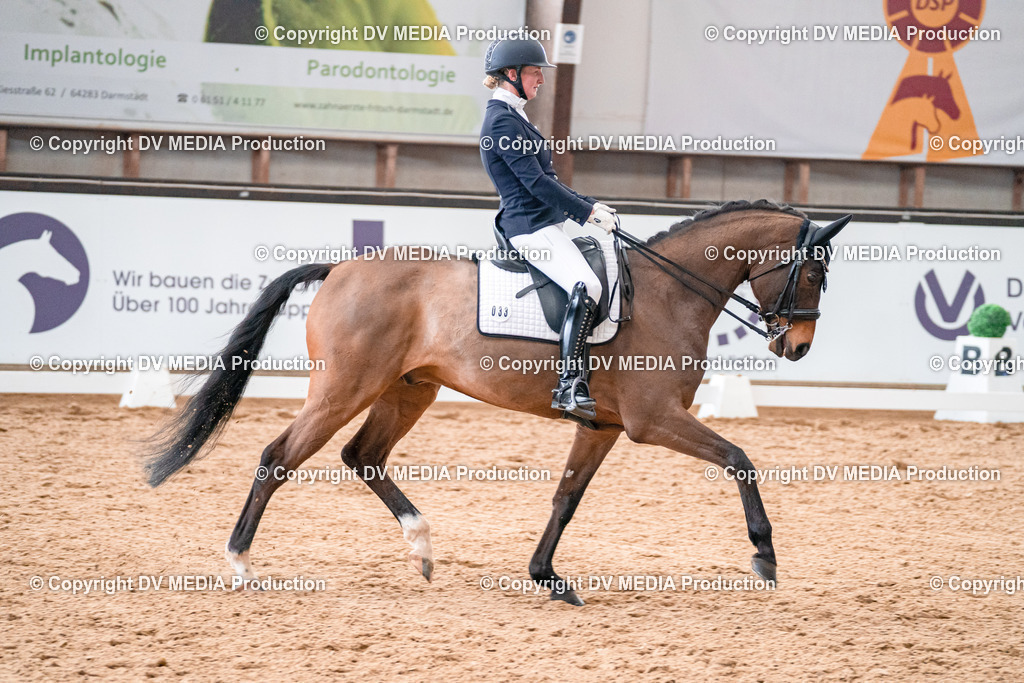 Kranichstein Tag 1-428 | dv-media-shop - Realisiert mit Pictrs.com