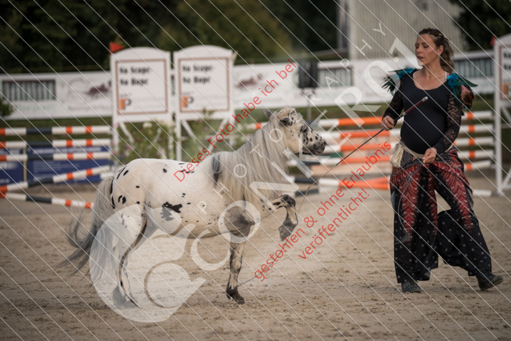 DSC_9973 | Sport-, Event- und Tierfotos in Profiqualität. Einfach auswählen, bestellen und herunterladen. Dein Moment – perfekt festgehalten.