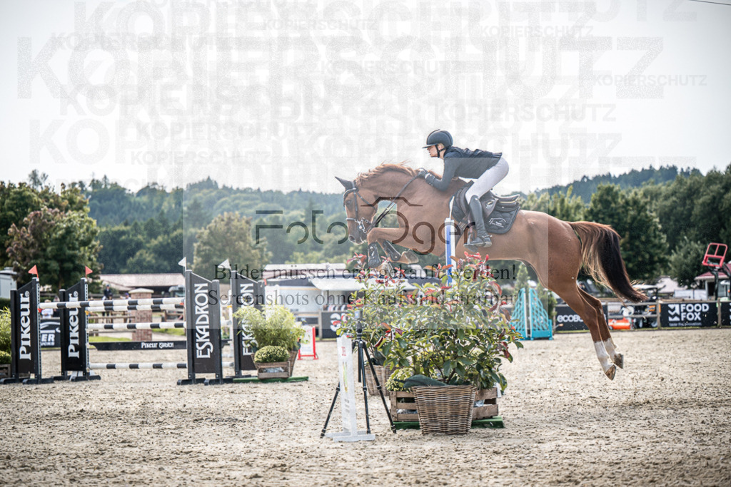 DOS_0226 | Entdecke hochwertige Reitturnierfotos von Foto Oger. Professionell, emotional und authentisch – jetzt Lieblingsmomente im Shop bestellen.Deutschlandweite Turnierfotografie. - Realisiert mit Pictrs.com