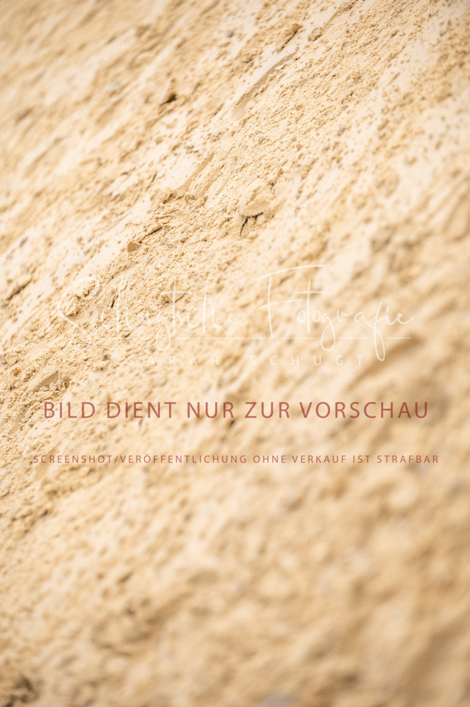 Schugtsche-Aluta25-40.DressurprfA_-385 | Schugtsche Fotografie - Realisiert mit Pictrs.com