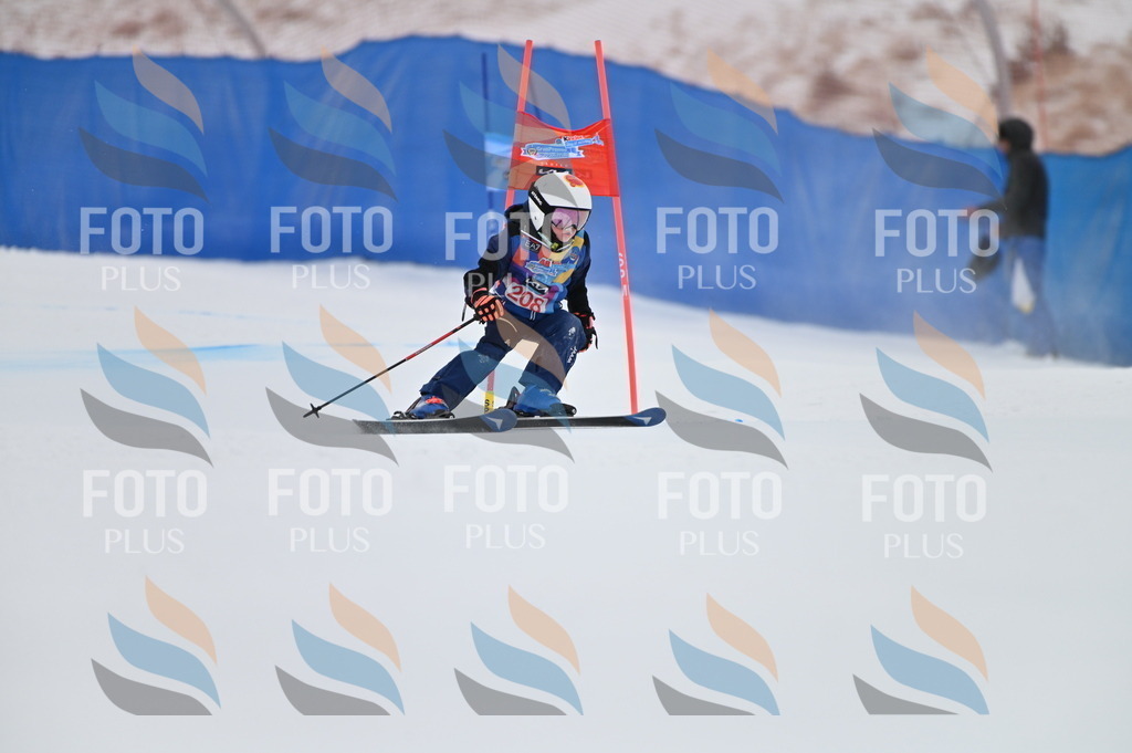 BGV_2261 | holidayphoto