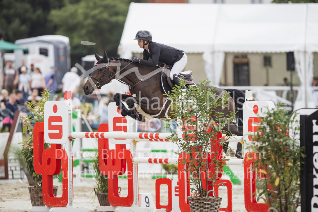 250713_BHO_M2-Spr-2-613 | Deine schönsten Turniermomente als professionelle Fotos! Entdecke hochwertige Pferdesport-Fotografie im Online-Shop. Jetzt Fotos finden & bestellen!