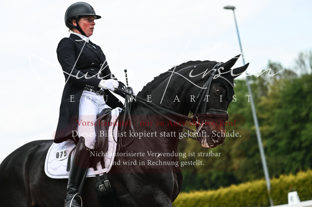20230514_JK-Röhrsdorf-21-174 | Pferde- und Turnierfotografie in Westsachsen. Pferdeportraits, Auftragszeichnungen und intuitive Kunst.