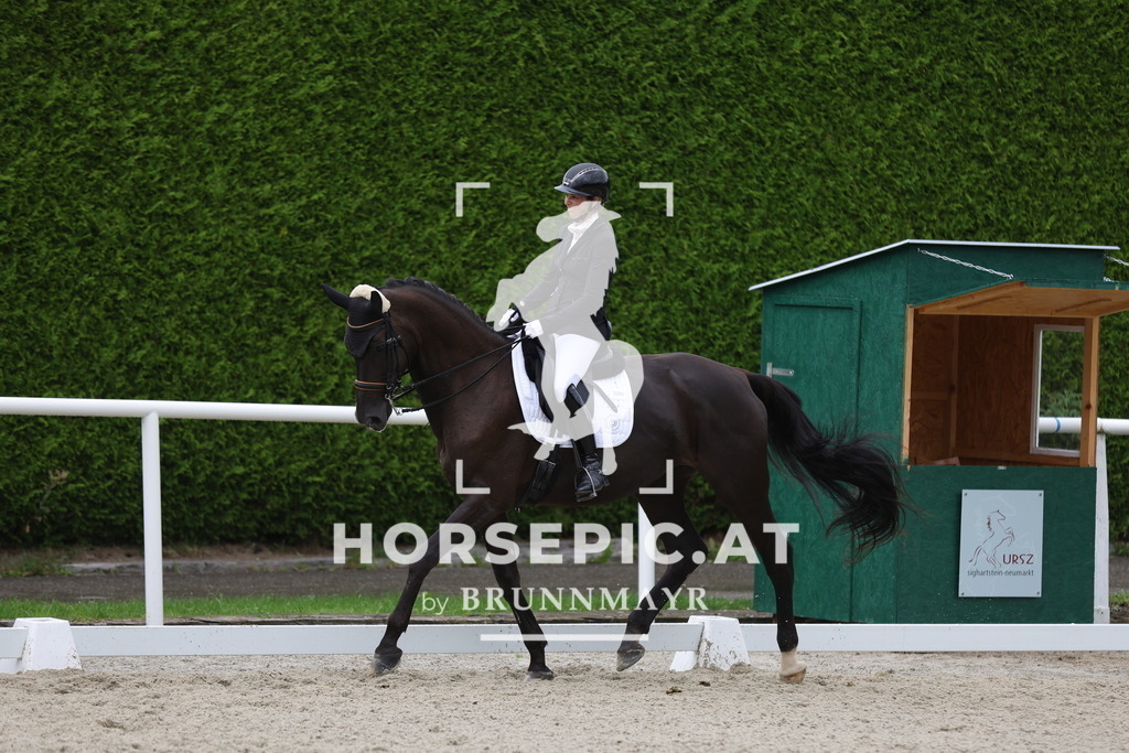 0P6A9480 | Willkommen bei Brunnmayr - Design & Fotografie – Ihrem Spezialisten für Reitturniere und Pferdeveranstaltungen in Oberösterreich, Salzburg und Bayern! Seit über 17 Jahren sind wir leidenschaftlich dabei.