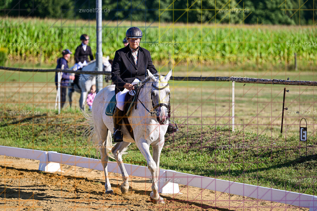 30 Jahre RFV Pulsnitz e.V., Pulsnitz am 09.08.2026 | Zur 28. breitensportlichen Veranstaltung des RFV Pulsnitz e.V. fanden verschiedene Wettbewerbe in nahezu allen Disziplinen des Pferdesport statt. - 04 Großer Dressur-Wettbewerb - Realisiert mit Pictrs.com