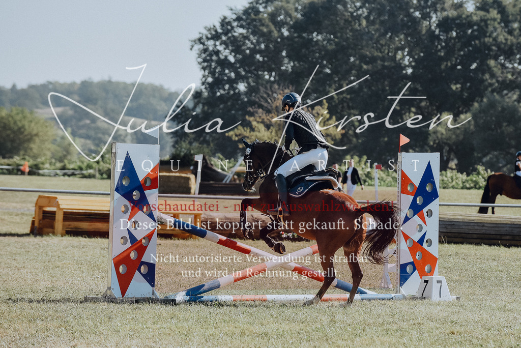 DSC_5820 | Pferde- und Turnierfotografie in Westsachsen. Pferdeportraits, Auftragszeichnungen und intuitive Kunst.