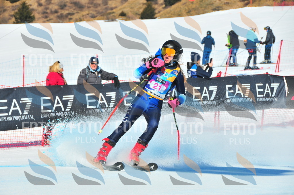 DSC_3847 | holidayphoto