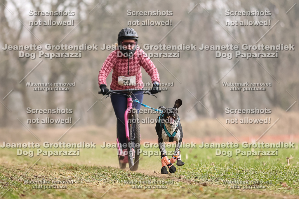 Dog Paparazzi - Plate 2026-75 | Dog Paparazzi Jeanette Grottendiek Fotografie & Videografie - Realisiert mit Pictrs.com