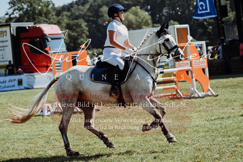 DSC_6106 | Pferde- und Turnierfotografie in Westsachsen. Pferdeportraits, Auftragszeichnungen und intuitive Kunst.