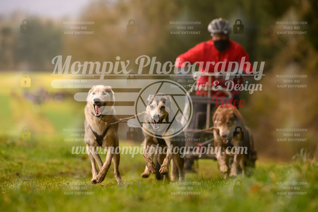 MompixPhotography_2SSTSSBW_2025_SO_Kart-12 | PayLife