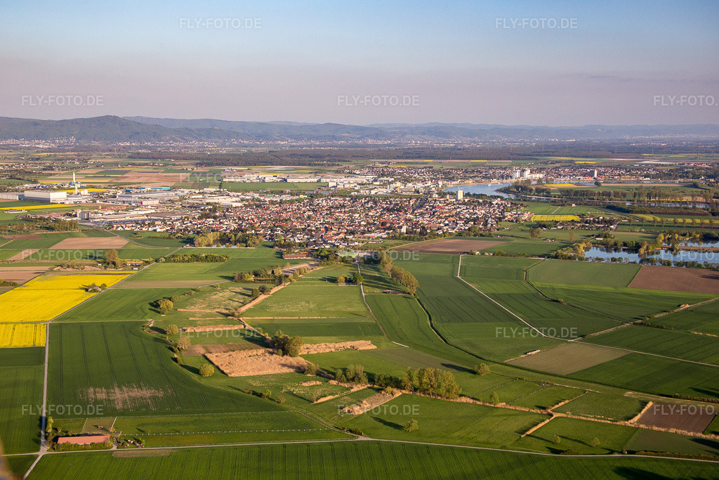 Luftbild: Ortsansicht in Biebesheim am Rhein im Bundesland Hessen in Deutschland. Foto: IMG_077660.jpg vom 23.04.2015 durch Werner Riehm/FLY-FOTO.de