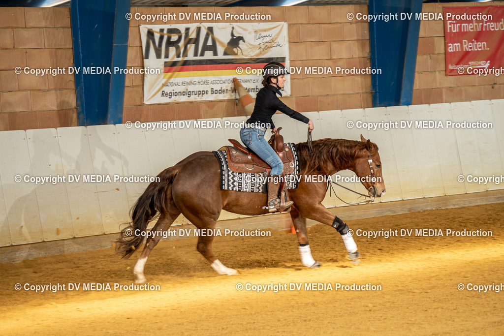 MIT00816 | dv-media-shop - Realisiert mit Pictrs.com