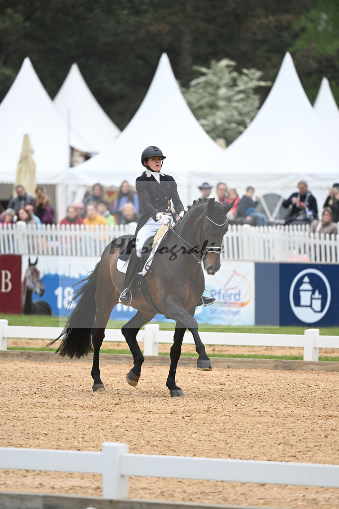 Abbelen_Sam Donnerhall_11232388 | hf-fotografie - Realisiert mit Pictrs.com