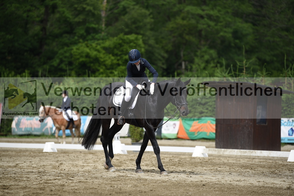 DSC_8458 | equestrian-live-com