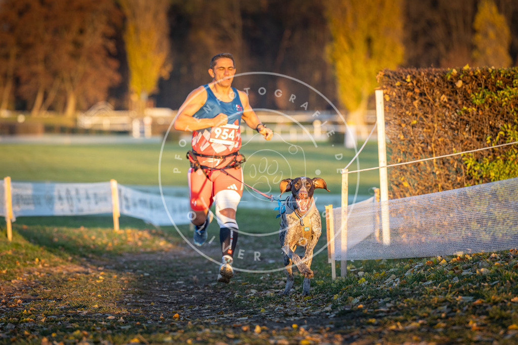 CaniXpix_DV3A5693 | Hundefotografie, Tierfotograf, Pfotenfotografie, Fotoshooting Hund, Hunde Portrait, Hundesport, Hundeportraits, Heideshooting, Hunde, Sportfotograf, Hundefotograf, Turnierhundsport, THS,  - Realisiert mit Pictrs.com