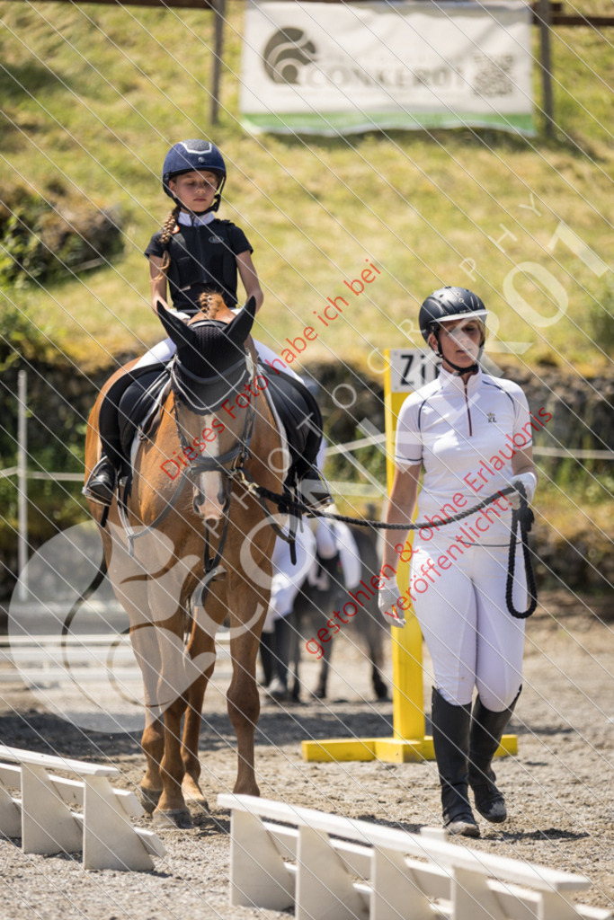 IMG_3473 | Sport-, Event- und Tierfotos in Profiqualität. Einfach auswählen, bestellen und herunterladen. Dein Moment – perfekt festgehalten.
