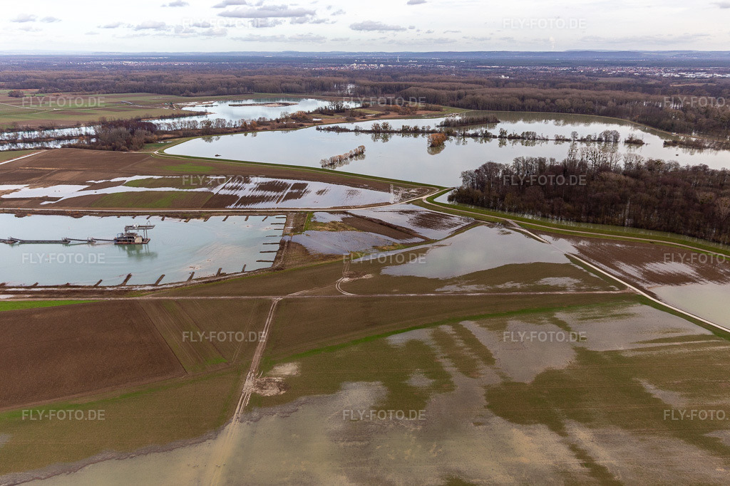 Luftbild: Überflutete Flutungswiesen des Polder Neupotz am Hochwasser- Pegel führenden Flußbett des Rhein in Neupotz in Jockgrim im Bundesland Rheinland-Pfalz in Deutschland. Foto: IMG_124207.jpg vom 04.02.2021 durch Werner Riehm/FLY-FOTO.de