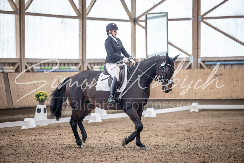 20251011-_3LI0160 | Tierfotografie Pferde, Hunde, Katzen, Haustiere.
Turnierfotografie Reitturniere, Reiten, Springreiten, Dressur in Hanau, dem Main-Kinzig-Kreis und dem Rhein-Main- Gebiet um Frankfurt