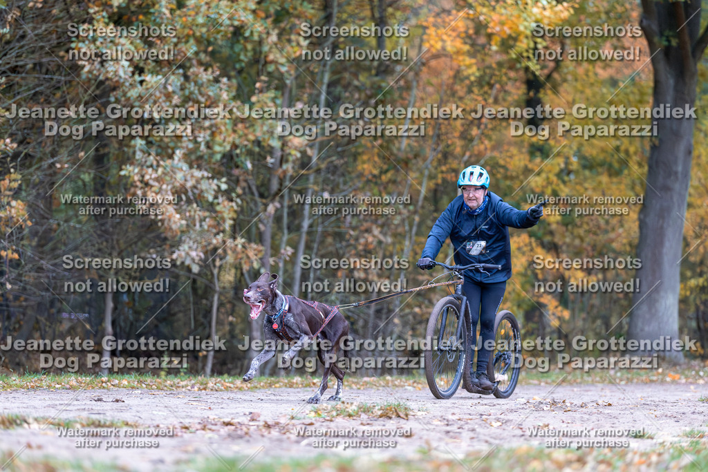 Dog Paparazzi - SD CaniX Championship 2025-11 | Dog Paparazzi Jeanette Grottendiek Fotografie & Videografie - Realisiert mit Pictrs.com