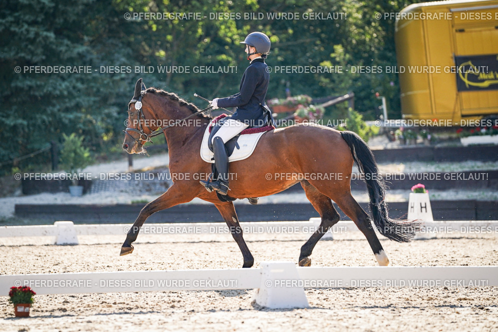 DSC09199 | Pferdegrafie